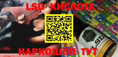 молекула духа Камышлов