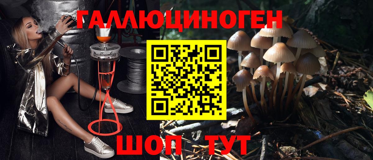 Галлюциногенные грибы Magic Shrooms Курчалой