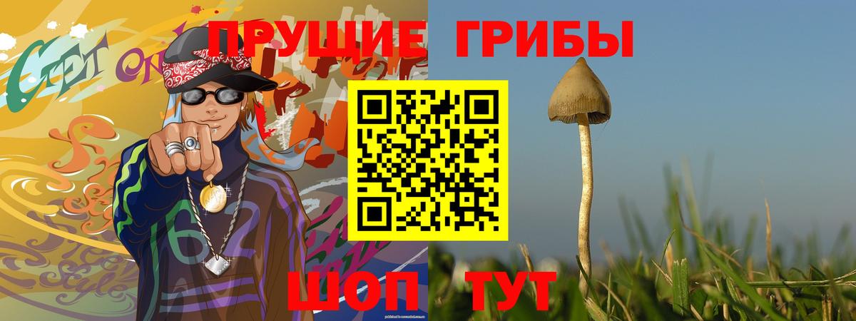Псилоцибиновые грибы Cubensis  Вход с VPN  Курчалой 