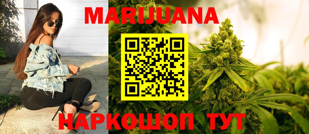 Канабис план Курчалой